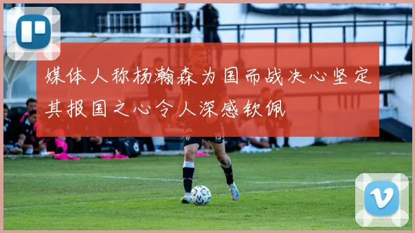 媒体人称杨瀚森为国而战决心坚定其报国之心令人深感钦佩