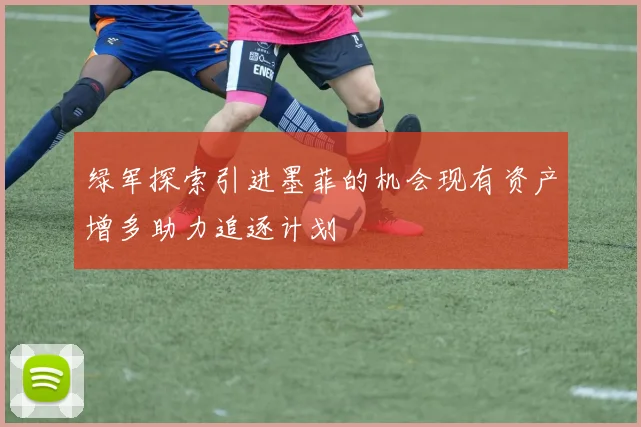 绿军探索引进墨菲的机会现有资产增多助力追逐计划